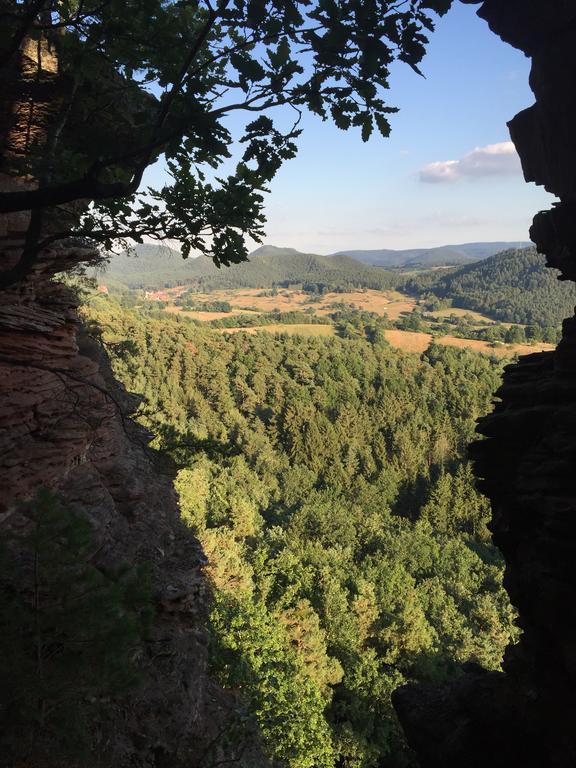 Fewo-Franca Дан Екстер'єр фото